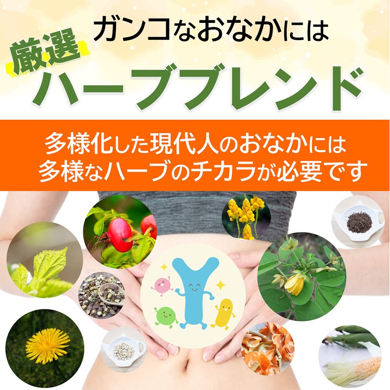 爽快スルーハーブティー レモンティー ティーバック30包 お茶 11種の厳選ハーブ