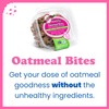 Alyssa's Gluten Free Oatmeal Cookies - Pack of 4