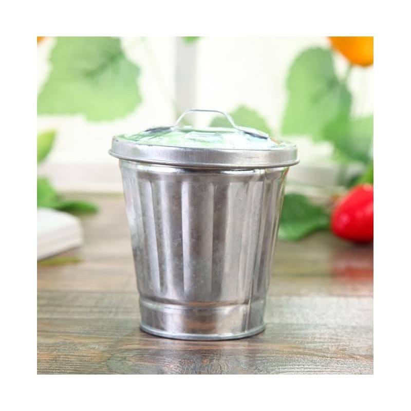 Silver Mini Galvanized Metal Trash Can with Lid, Tabletop Wastebasket,Pen