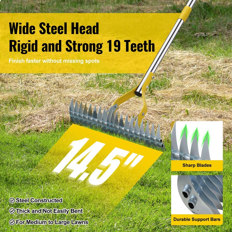 Garden Leaf Rake: Dual Function Thatching Rake for Lawn Dead