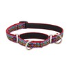 Martingale Dog Collar by Lupine 3/4" wide El Paso design