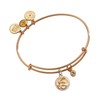Alex and Ani Zodiac Bangle