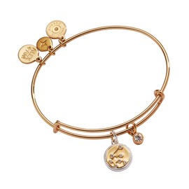 Alex and Ani Zodiac Bangle