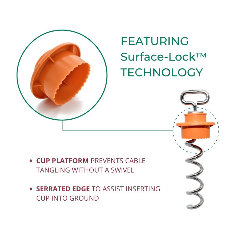 Intellileash Dog Tie Out