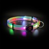 Myyaa Light up Dog Collars, LED Dog Collar Light, USB Rechargeable Bright Flashing Dog Collar with Waterproof, Lighted Safety Collar for Walking at Night for Small Medium Large Dogs (Green Pink Blue)