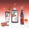 클로란 퀴닌 샴푸, 400ml, 2개 Klorane Quinine Shampoo, 400ml, 2