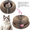 Foldable Cat Scratching Board with Interactive Toys – Eco-Friendly Recyclable