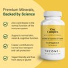 Theonia Zinc Complex – Supports Immune, Skin & Digestive Health