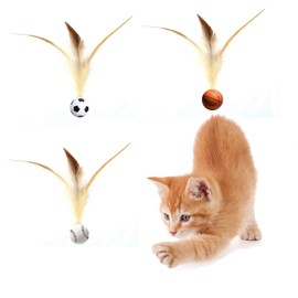 JOLIEORA 3 Pcs Indoor Toy Balls for Cats, Interactive Feather Ball Set, Bouncy Rolling Balls, Training Ball for Kitten Fun