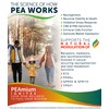 Palmitoylethanolamide 450mg Comfort Mobility Nerves Cognitive & Immune Support -