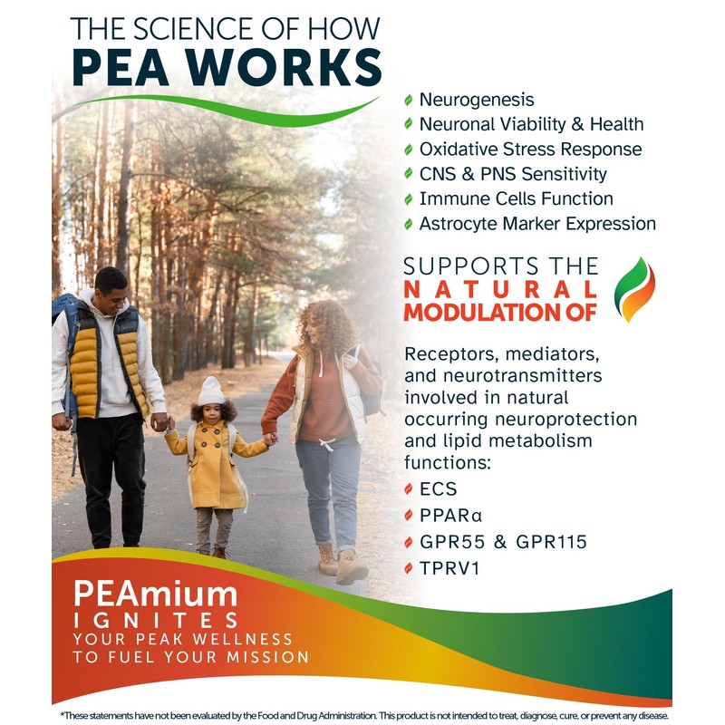 Palmitoylethanolamide 450mg Comfort Mobility Nerves Cognitive & Immune Support -