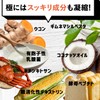 Shingani Enzyme, Super Supplement, Enzyme, Koji Mushi, Made in Japan