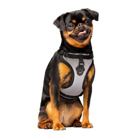 Canada Pooch Everything Dog No Pull Harness - Adjustable Dog Walking Harness