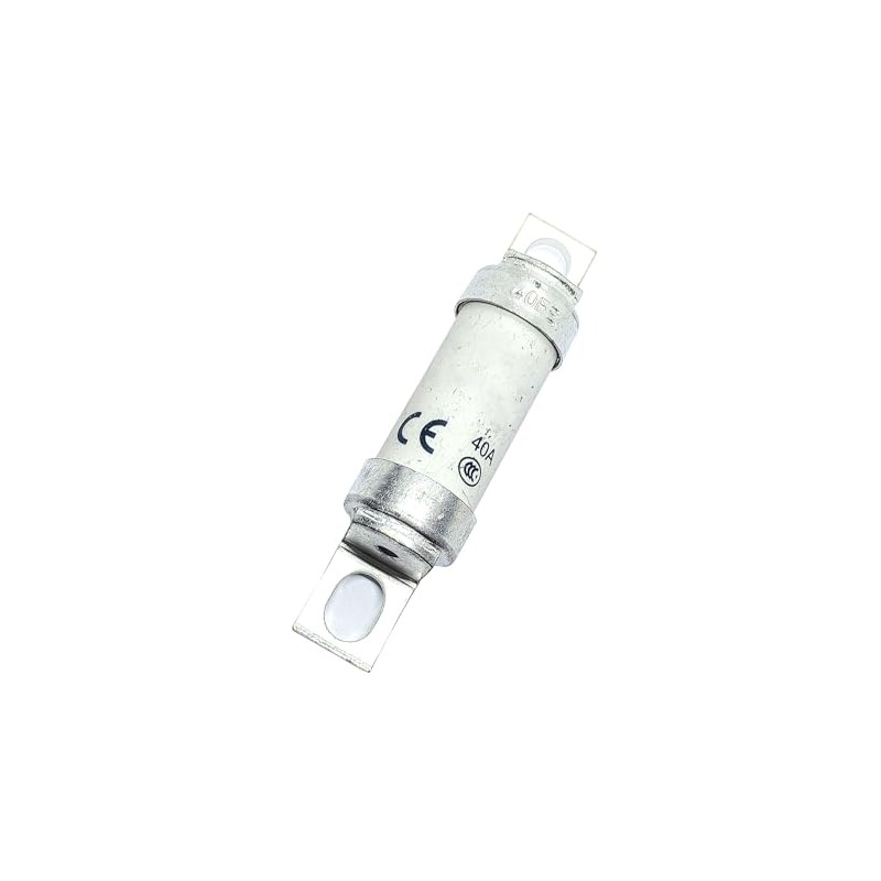 1 fusible tipo T 40FE (40 amperios) 40A 690V