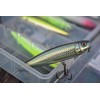 Rapala - Precision bait precision Xtreme pencil plastic construction -