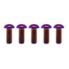 RISON Pack of 5 Titanium Rounded Head Screws with Hexagon