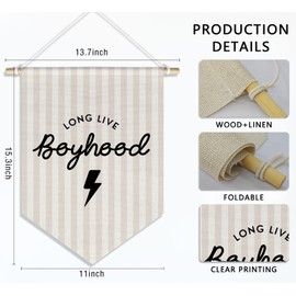 DSHFG Long Live Boyhood Banner Pennant for Kids Room Nursery Bedroom Playroom Wall Hanging Decor,Dorm Decor for Toddle Room Boy,15x11in