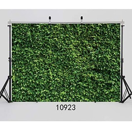 SJOLOON Green Leaves Wall Backdrop Birthday Party Photography Backdrops Spring Newborn Baby Shower Photo Backdrop Banner Wedding Photo Background Vinyl Studio Booth Props 10923 (8x6FT)