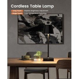 Lightbiz Table Lamp 2 Pack with USB Output Ports, Touch Control Beside Lamps 5000mAh Rechargeable Battery Operated, 3 Color Temperature & Stepless Dimming LED Desk Lamp for Bedroom, Living Room, Bar