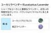 Eucalyptus Lavender 3.4 fl oz (100 ml) (Refill Aluminum Pack)