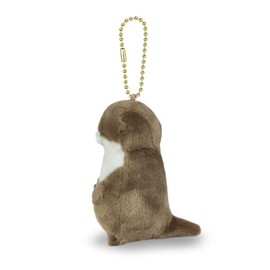 Otter LMC Bald Chan: 703877