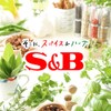 SB Foods Rumor Famous Shop Osaka Spice Schema Curry, 7.1