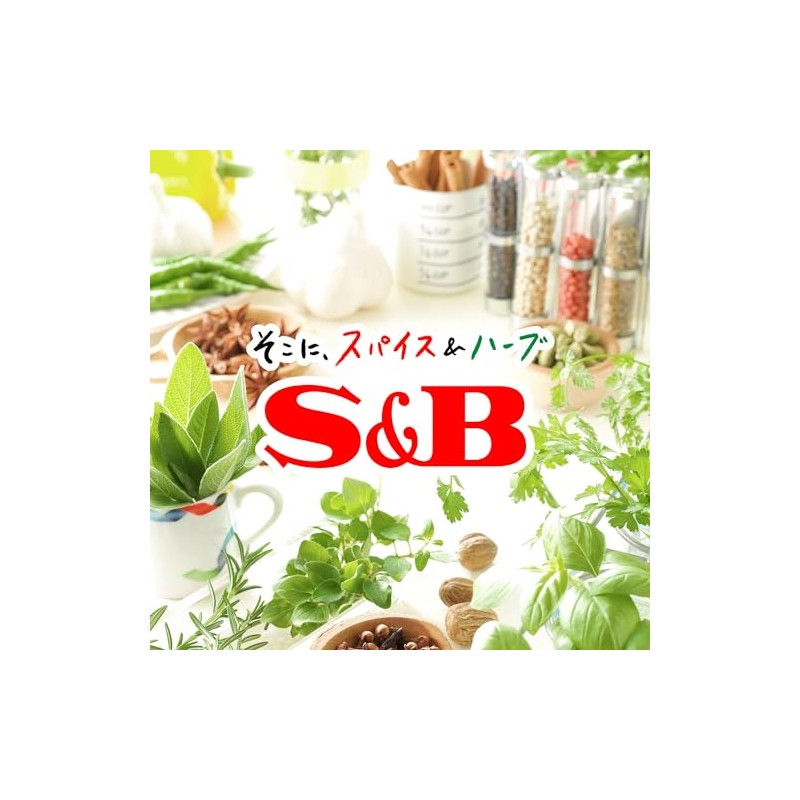 SB Foods Rumor Famous Shop Osaka Spice Schema Curry, 7.1