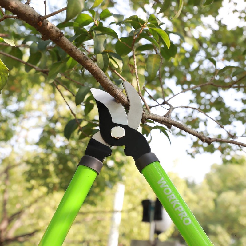 WORKPRO W151010 Limb and Branch Pruner Tool Set, Heat-Treated Steel