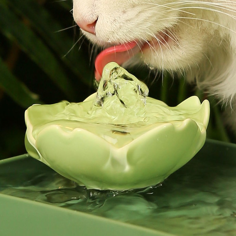 Pet Water Fountain Quiet Automatic Circulation Flow Filtration Cat Water