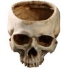 RMM Dulcero O Macetero De Resina Con Diseño De Calavera