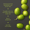 Mina Moroccan Olive Oil Extra Virgin 16.9 Fl Oz (Pack