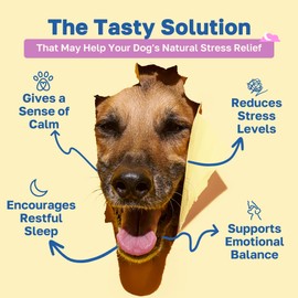Happy Paws Calming Chews for Dogs, Soft Chews with Chamomile, Passion Flower, Valerian Root, Tryptophan & Theanine, Supports Relaxation, Balanced Behavior & Sleep, Vegan Peanut Butter Flavor 100 Count
