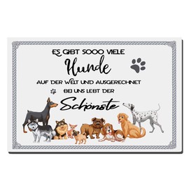 TRIOSK Tin Sign Dog Funny with Saying “Es gibt so viele Dogs” in German 20 x 30 cm Metal Sign Sayings Decorative Sign Gift for Dog Lovers Women Men