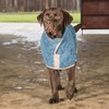 Dog Drying Coat - Classic Collection (S, Sandringham Blue)