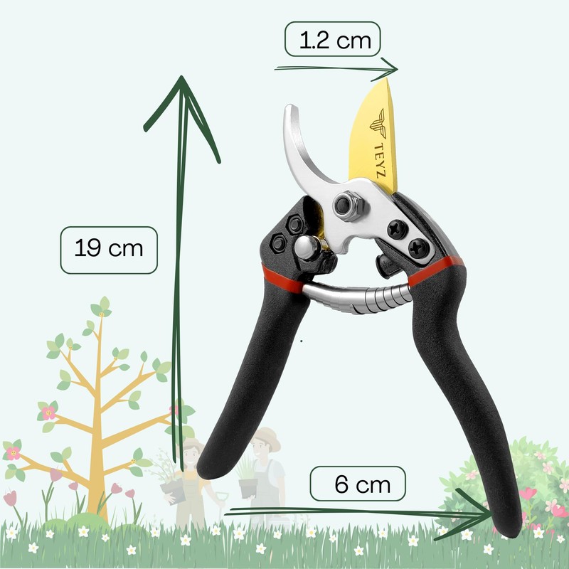 TEYZ secateurs, Titanium Bypass secateurs & Pruning Scissors, Garden secateurs,