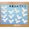 Display Cards, White, 50