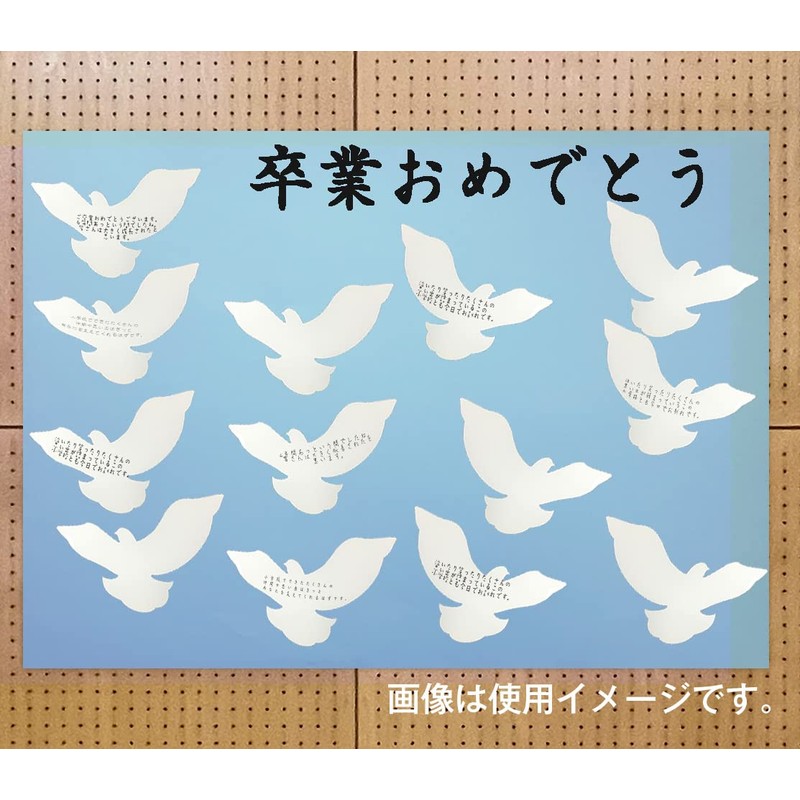 Display Cards, White, 50