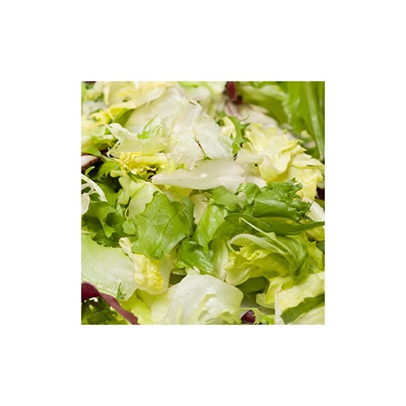 Everwilde Farms - 1 Oz Green Curled Ruffec Endive Seeds