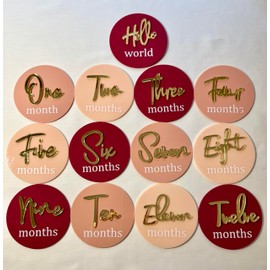 Acrylic 3D Monthly Milestone Disc Cards for Baby Photos (13 pcs Set),First Year Monthly Milestone Marker,Pregnancy and BabyShower Gifts Baby Announcement Newborn Photo Props Keepsake Frame (Girl Set)