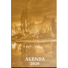 Agenda 2020: Agend 2020 I Personal Jouranl I Week Planner I Goal Planner I Organizer
