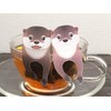 4 Packets of Tea Bag Apple Tea Otter