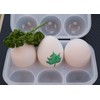 LOGOS Egg Holder, For Outdoors, Lunches, Egg Case