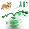 Interactive Dog Toys Rolling Ball for Puppy,Peppy Pet Ball for