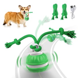 Interactive Dog Toys Rolling Ball for Puppy,Peppy Pet Ball for Dogs,