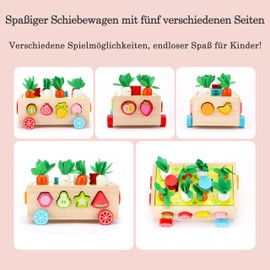 Dr. MUYA® Montessori Spielzeug 1 2 3 Jahre, Montessori Spielzeug Ab 1 Jahr, Motorikspielzeug, Steckspiel, Holzspielzeug, Spielzeug Ab 1 Jahr, Lernspielzeug, Geschenk 1-3 Jahre Kinder Junge Mädchen