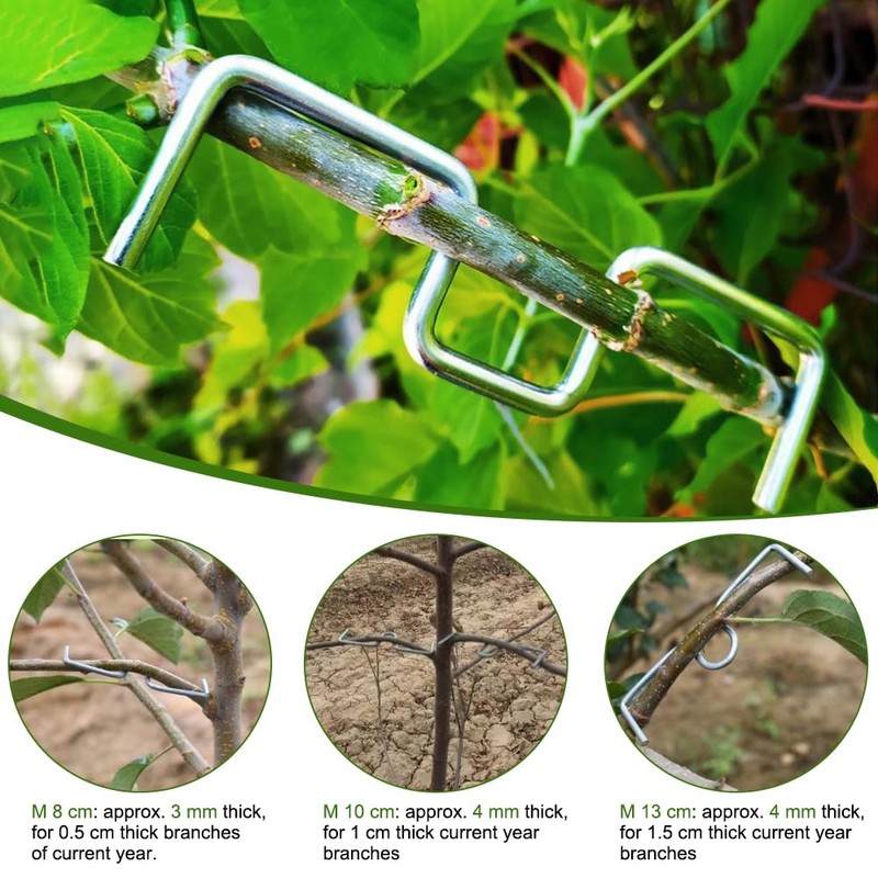 Pack of 30 Branch Supports for Fruit Trees, 13/10/8 cm