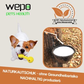 Wepo Durable Dog Chew Toy with Bell, Natural Rubber, 2 cm Thick, Perfect for Puppies, Heavy Duty Solid Rubber Bone, Pet’s Toy