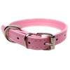 Vibrant Leather Dog Collar & Lead Combo Set for Puppy,