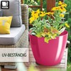 PECZEKO Flower Pot Shiny Plastic Planter Decorative Pot for Large
