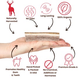 Best Chews Split Antlers for Dogs - Premium USA Sourced Elk Antlers for Dogs - Dog Antler Chews - Durable Dog Antlers for Aggressive Chewers - Split Elk Antlers for Dogs for Oral Health